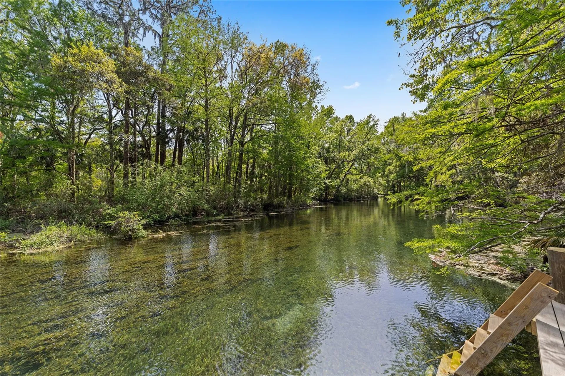 10894 SW 185th Terrace Dunnellon FL 34432