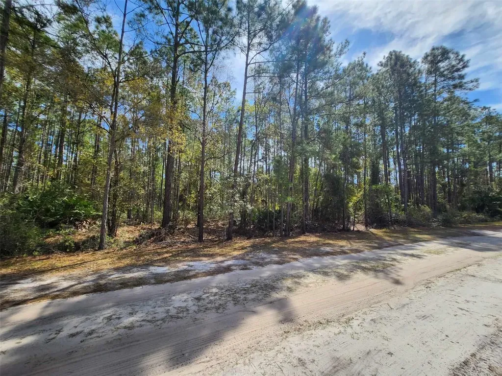 112 Mosswood Street Georgetown FL 32139