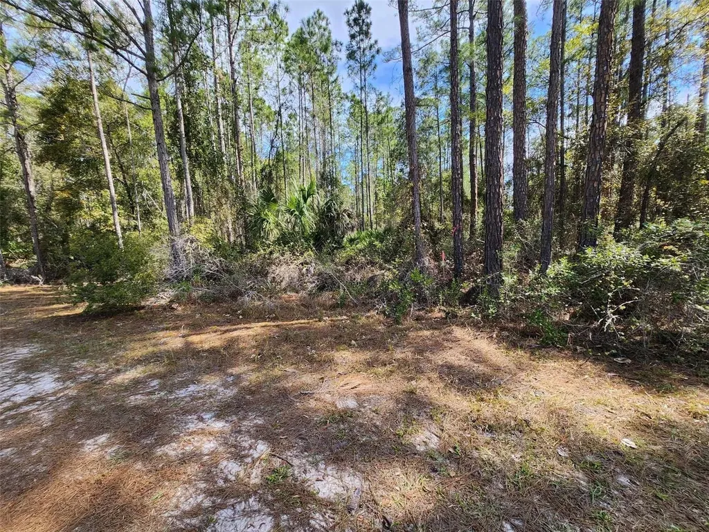 114 Mosswood Street Georgetown FL 32139