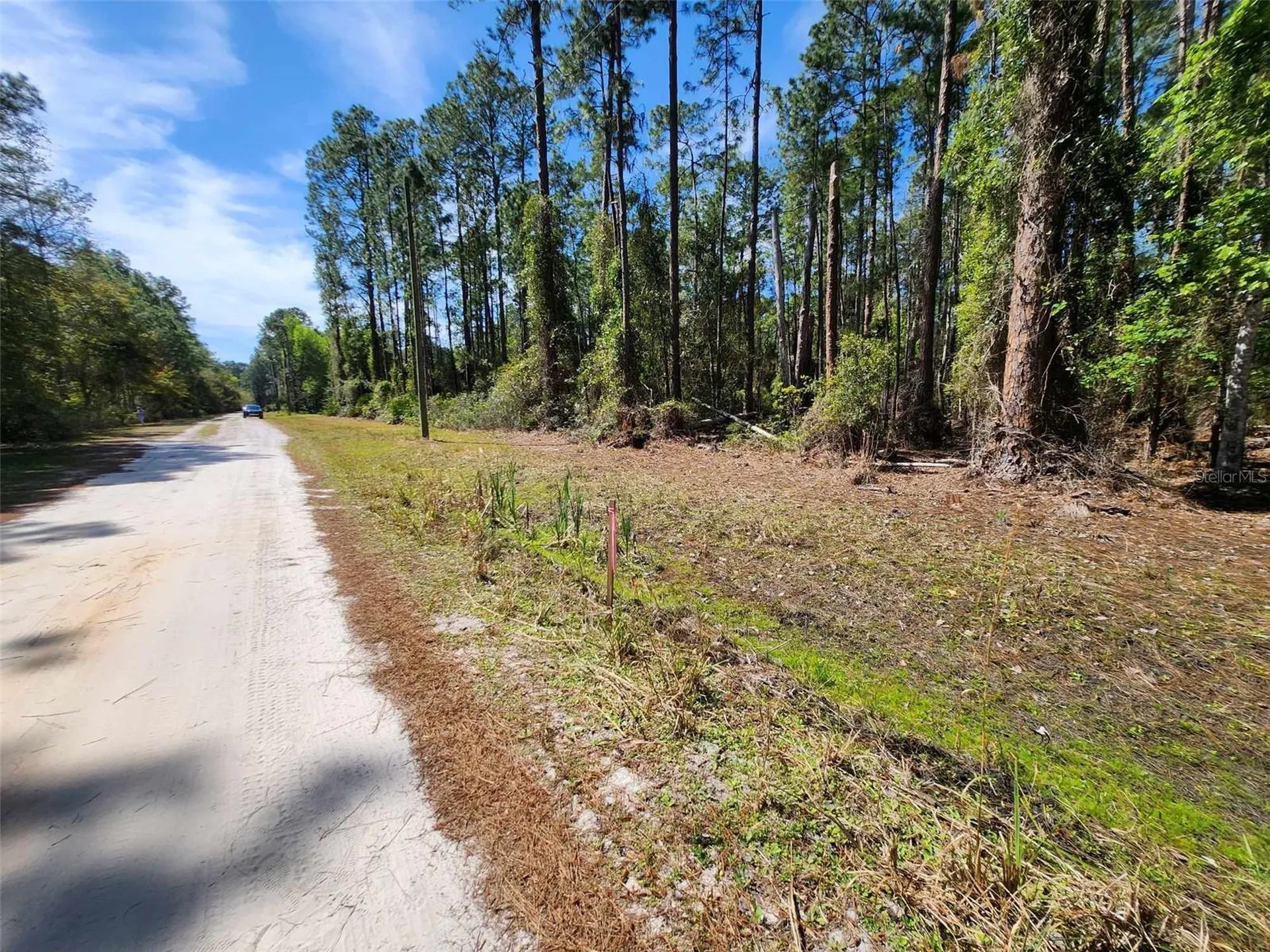 114 Mosswood Street Georgetown FL 32139