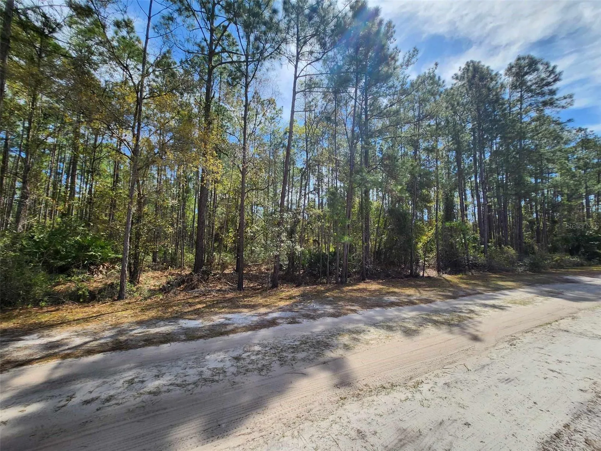 114 Mosswood Street Georgetown FL 32139