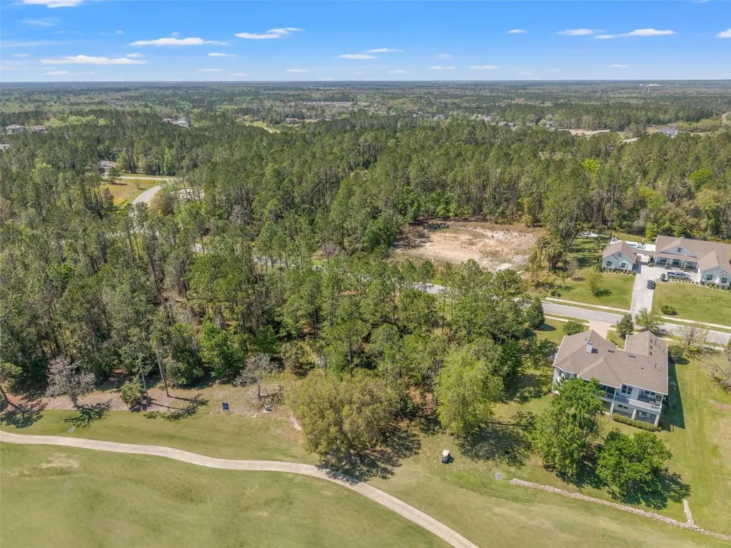 20044 English Walnut Place Brooksville FL 34601