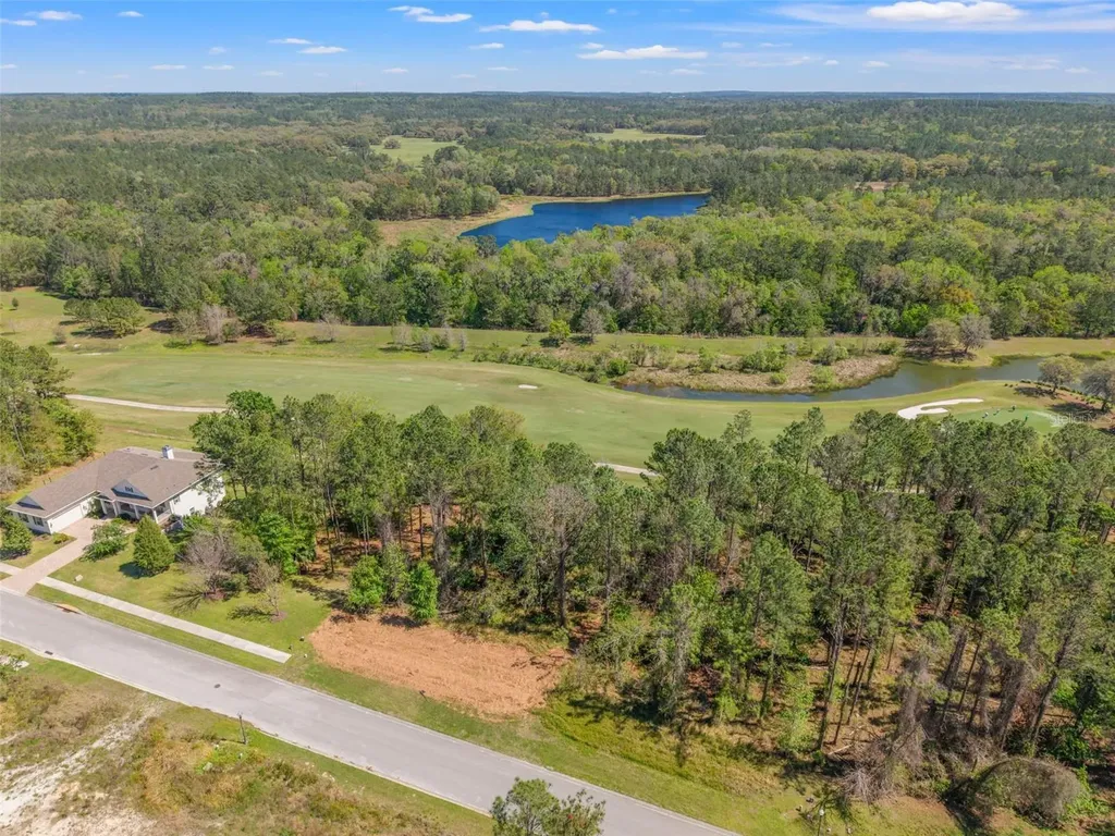 20044 English Walnut Place Brooksville FL 34601