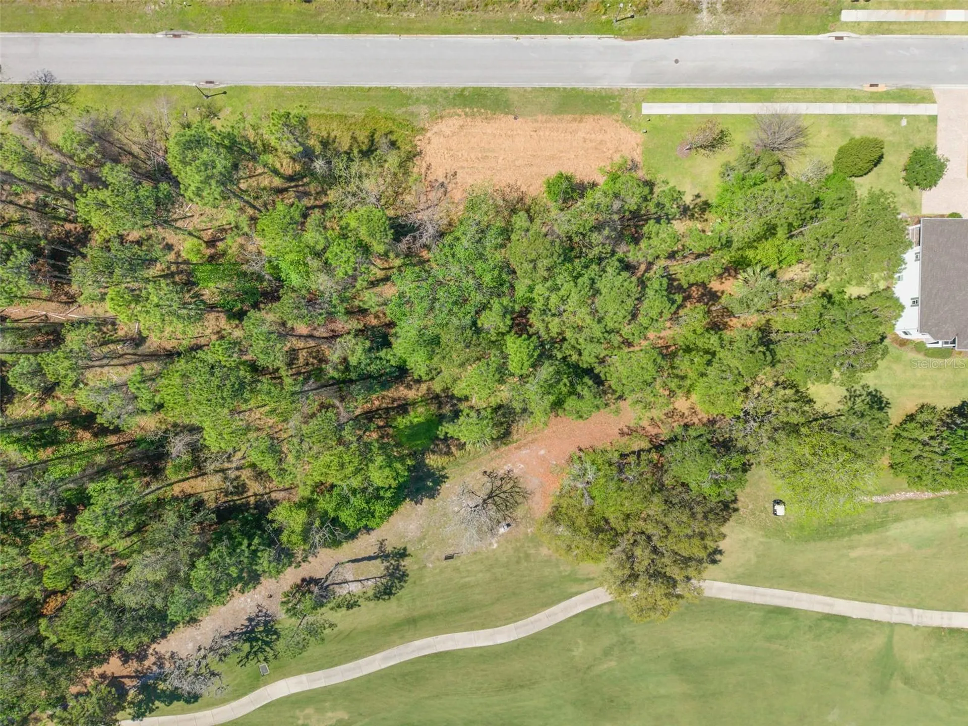 20044 English Walnut Place Brooksville FL 34601