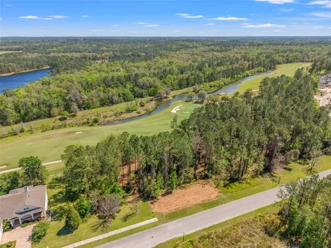 20044 English Walnut Place Brooksville FL 34601