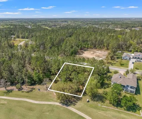 20044 English Walnut Place Brooksville FL 34601