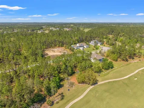 20044 English Walnut Place Brooksville FL 34601