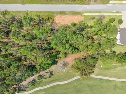 20044 English Walnut Place Brooksville FL 34601