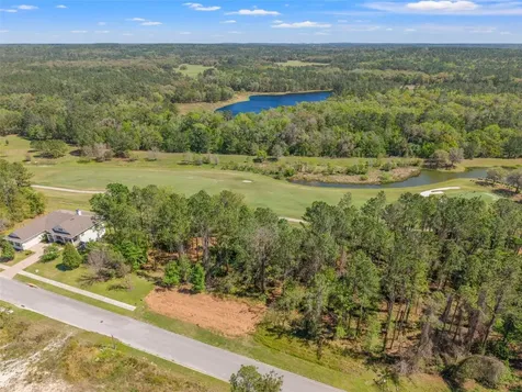 20044 English Walnut Place Brooksville FL 34601