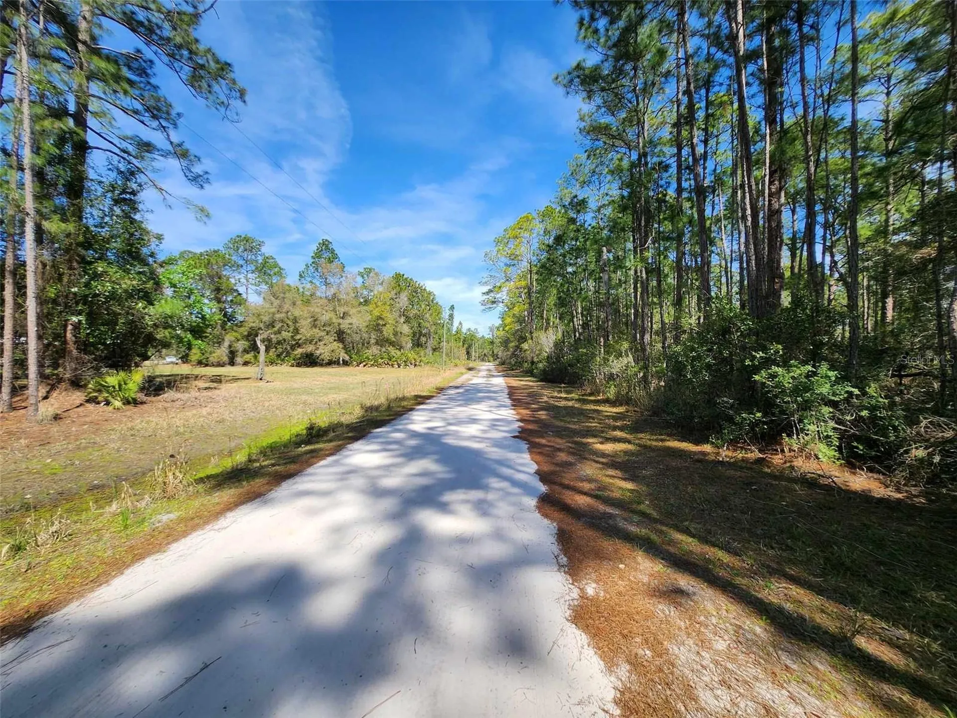 116 Mosswood Street Georgetown FL 32139