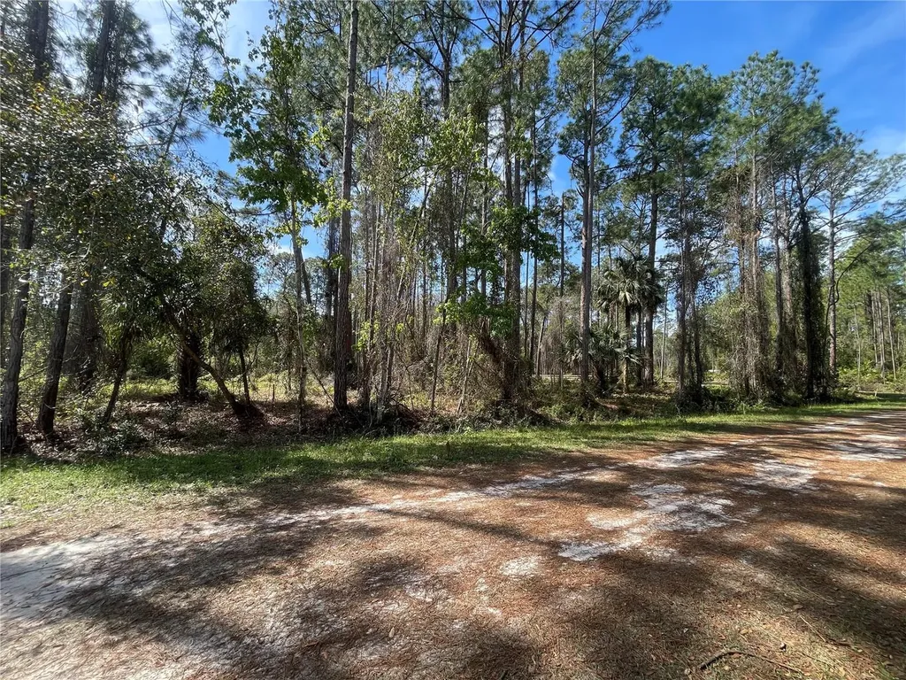 107 Rosewood Street Georgetown FL 32139