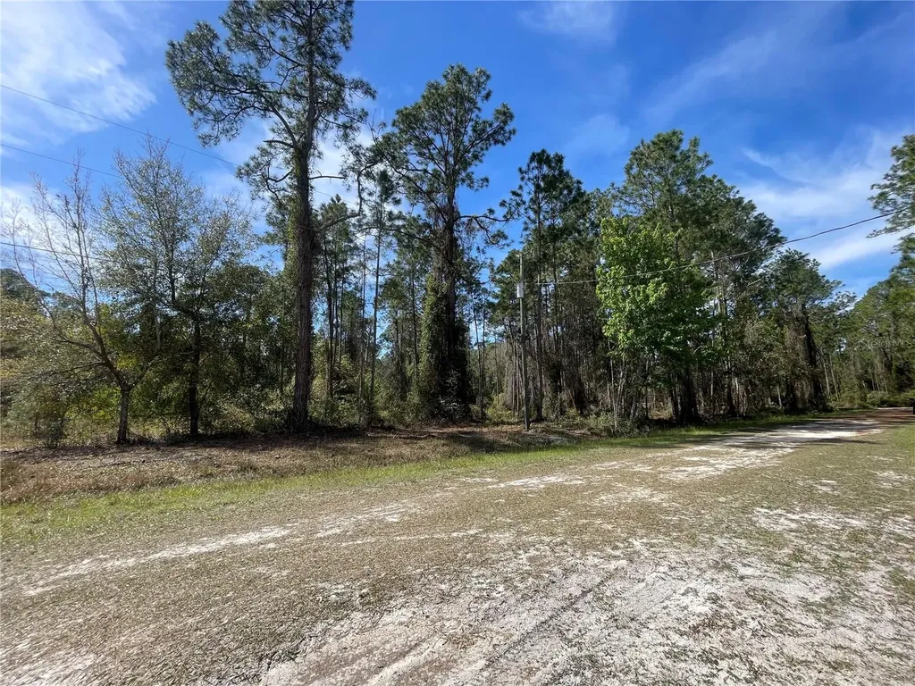 107 Rosewood Street Georgetown FL 32139