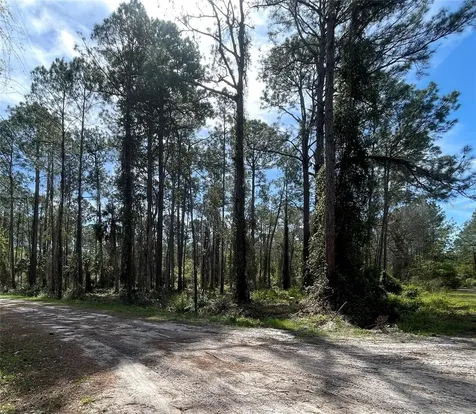 107 Rosewood Street Georgetown FL 32139