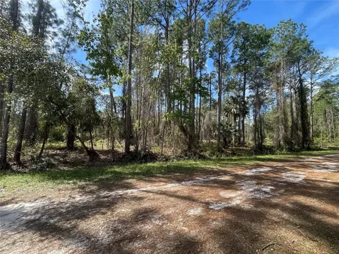 107 Rosewood Street Georgetown FL 32139