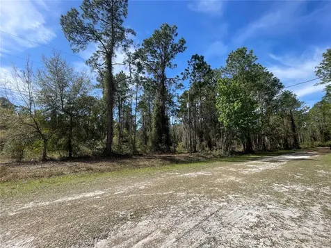 107 Rosewood Street Georgetown FL 32139