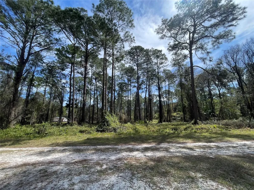 105 Rosewood Street Georgetown FL 32139