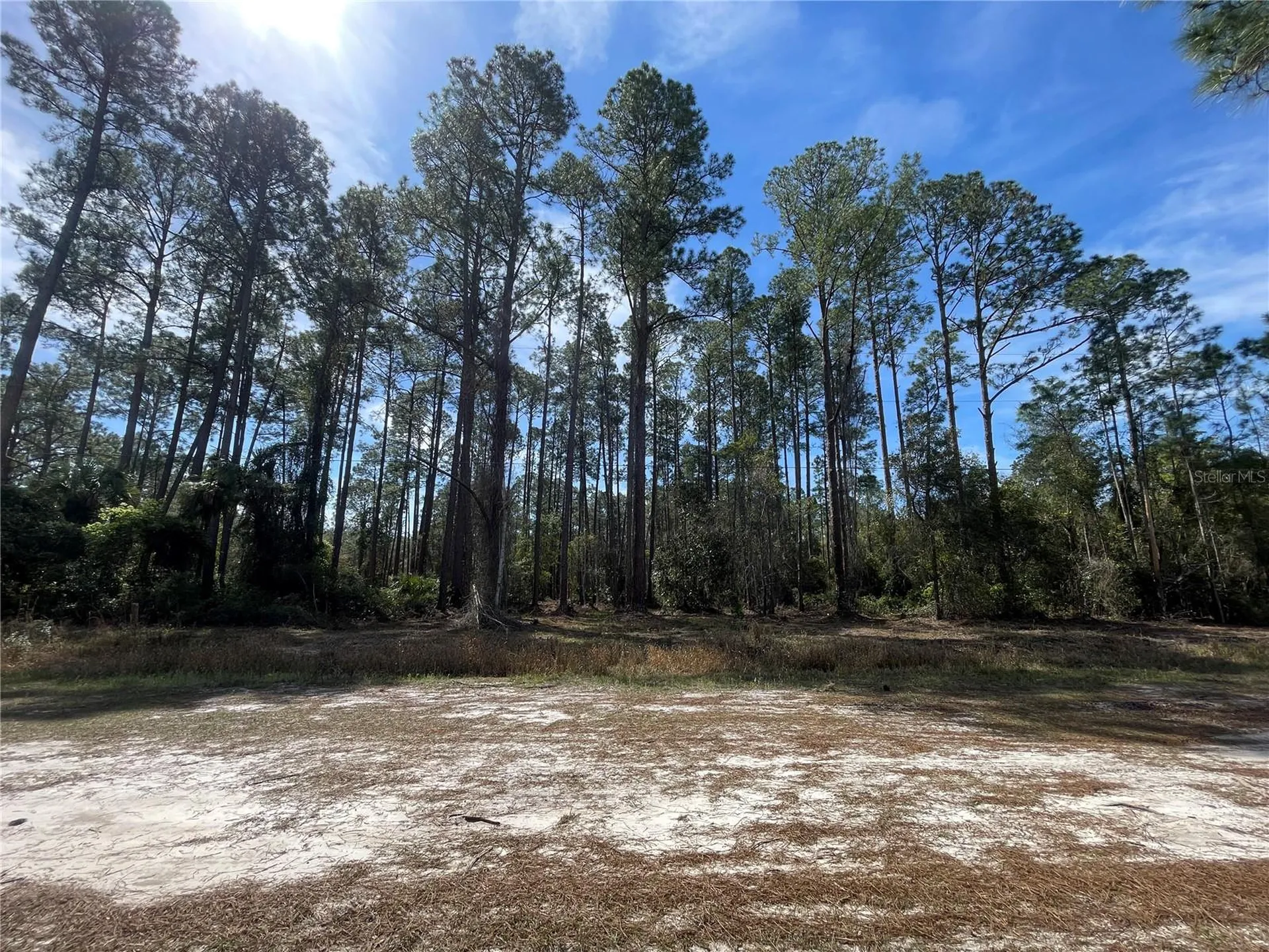 105 Rosewood Street Georgetown FL 32139