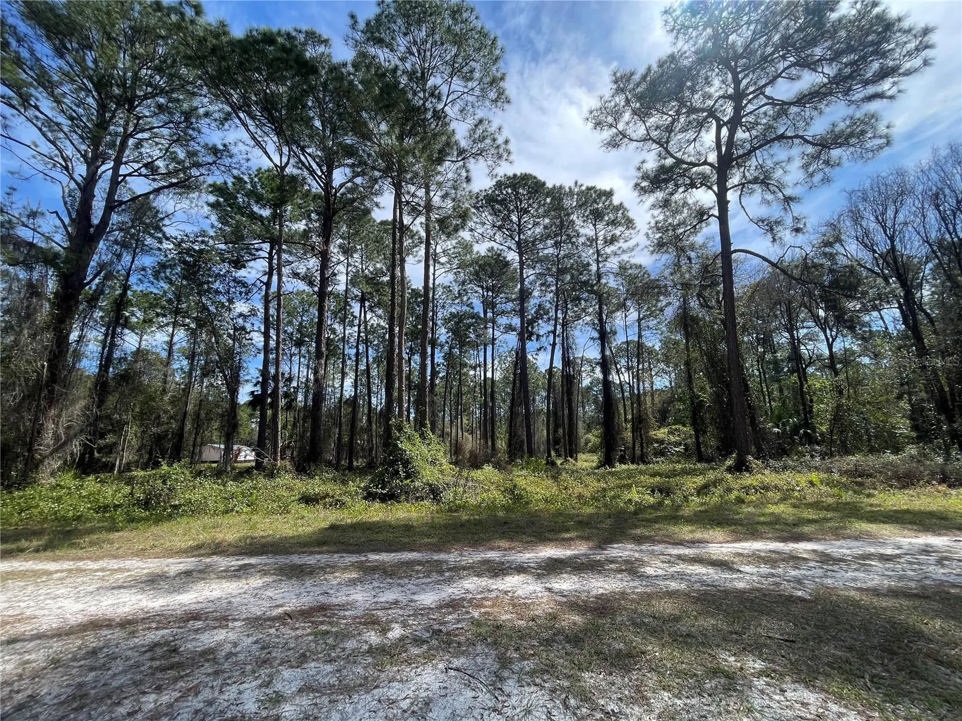 105 Rosewood Street Georgetown FL 32139