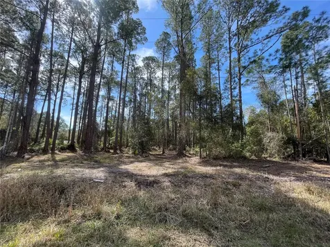 105 Rosewood Street Georgetown FL 32139