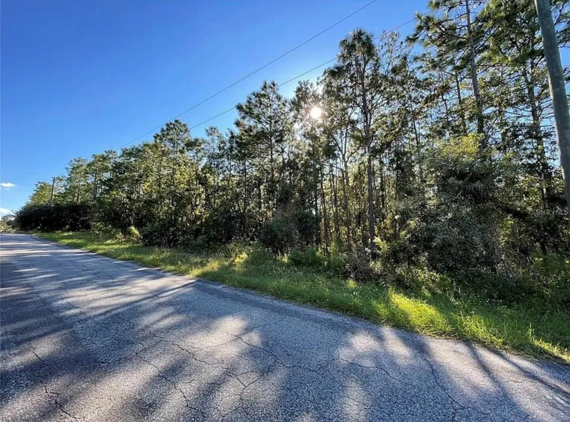 16 Mayten Court N Homosassa FL 34446