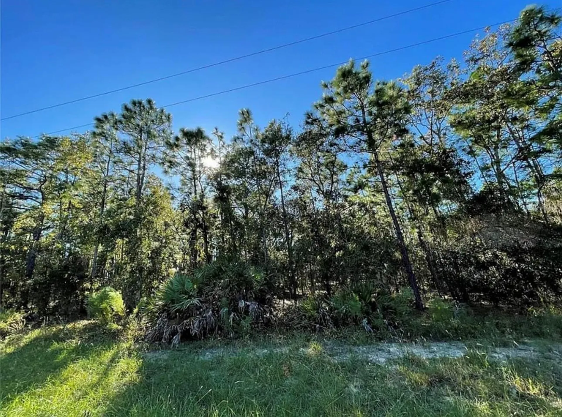 16 Mayten Court N Homosassa FL 34446
