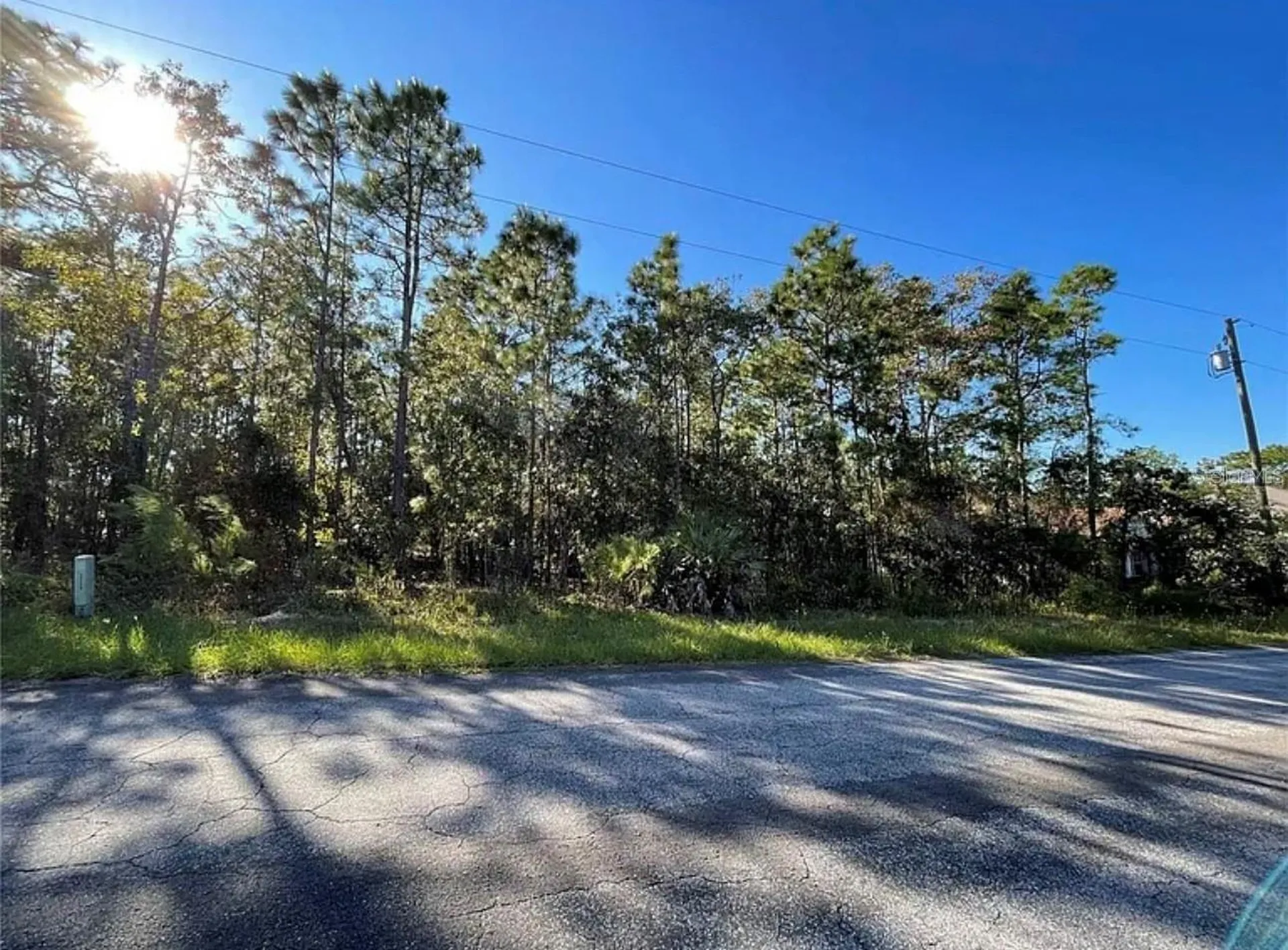 16 Mayten Court N Homosassa FL 34446