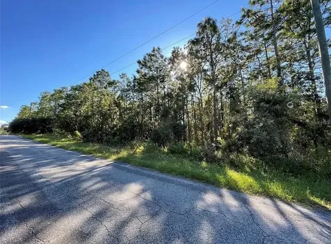 16 Mayten Court N Homosassa FL 34446