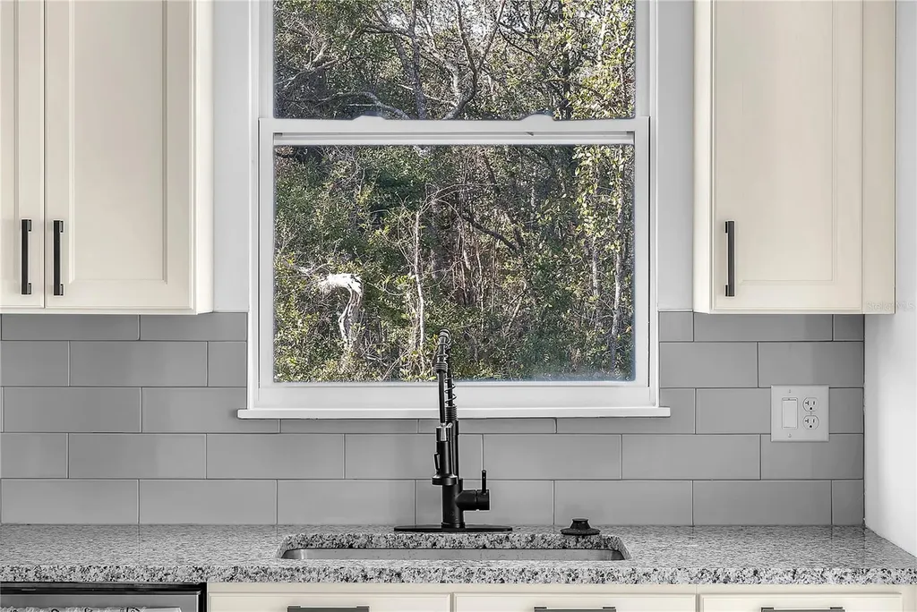 17135 SW 41 Court Ocala FL 34473