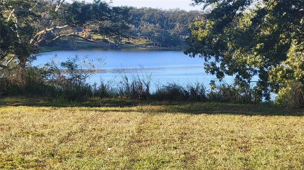 16915 Florence View Drive Montverde FL 34756