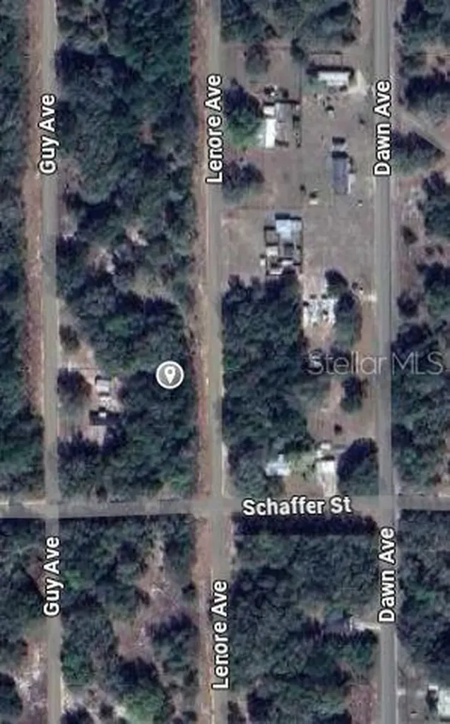 Lenore Avenue Interlachen FL 32148