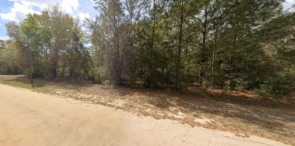 Lenore Avenue Interlachen FL 32148