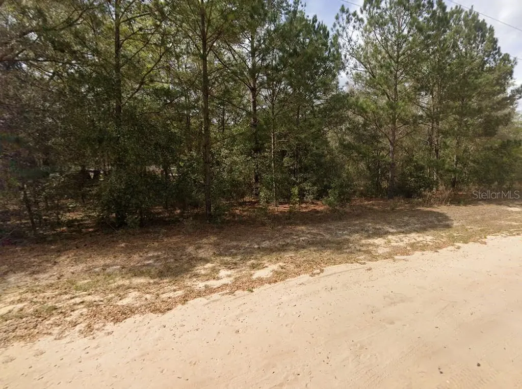 Lenore Avenue Interlachen FL 32148