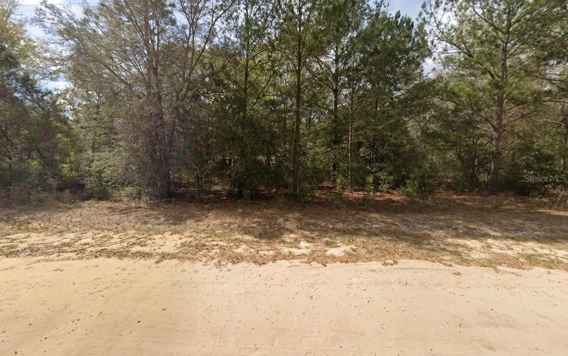 Lenore Avenue Interlachen FL 32148