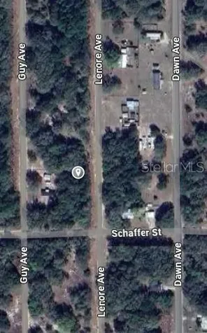 Lenore Avenue Interlachen FL 32148