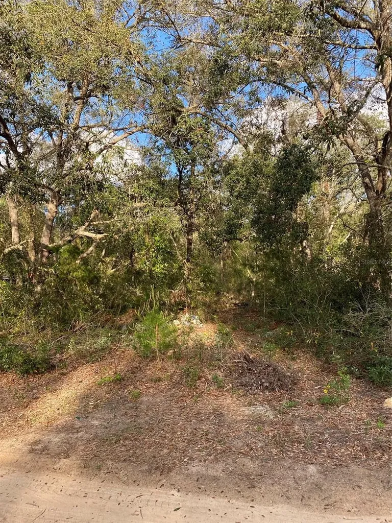 Dogwood Way Lady Lake FL 32159