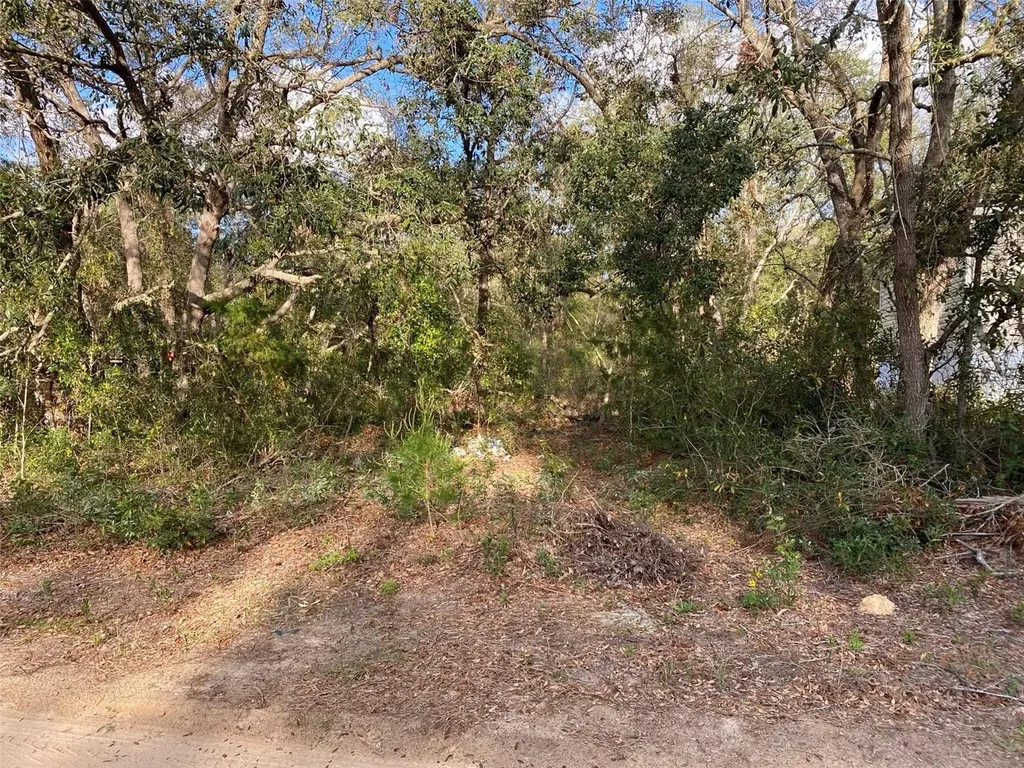 Dogwood Way Lady Lake FL 32159