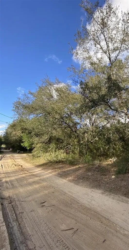 Dogwood Way Lady Lake FL 32159