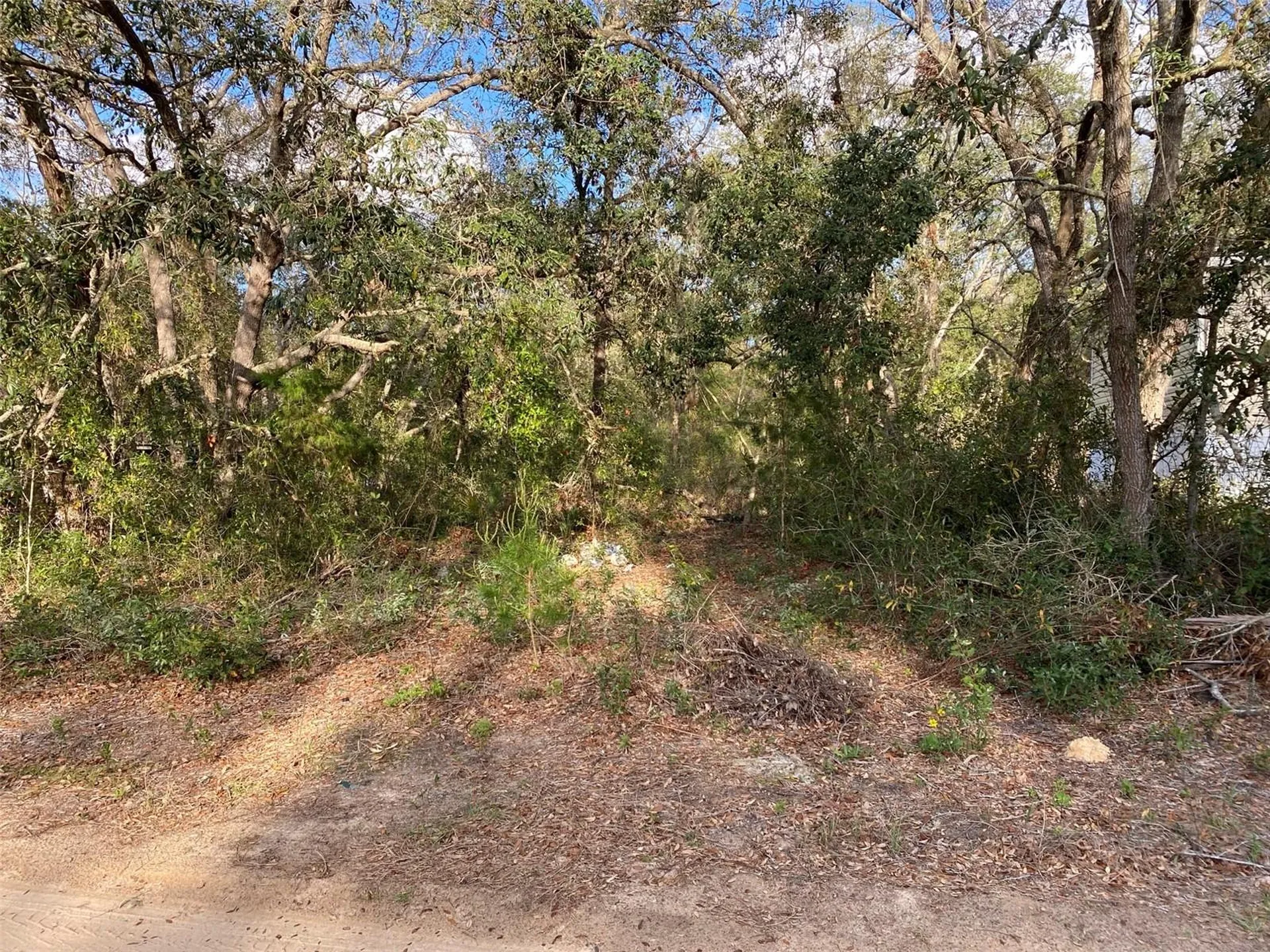 Dogwood Way Lady Lake FL 32159