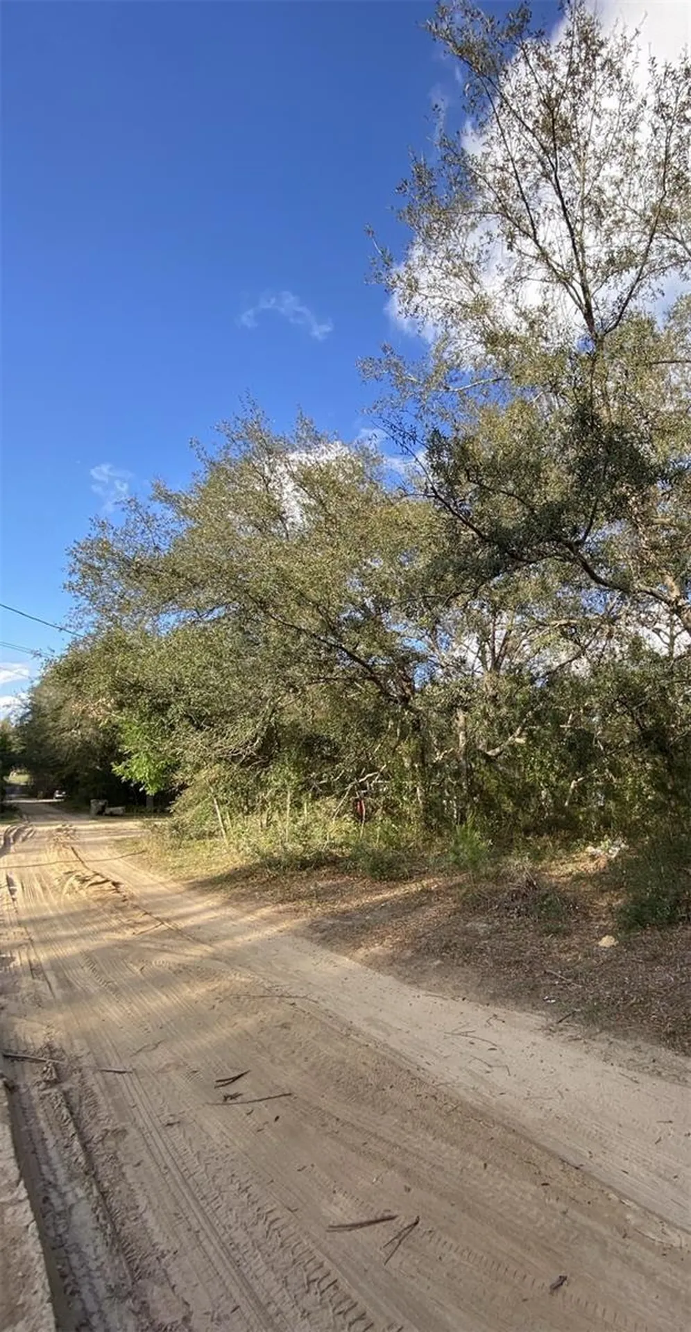 Dogwood Way Lady Lake FL 32159