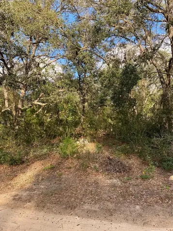 Dogwood Way Lady Lake FL 32159