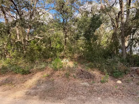 Dogwood Way Lady Lake FL 32159