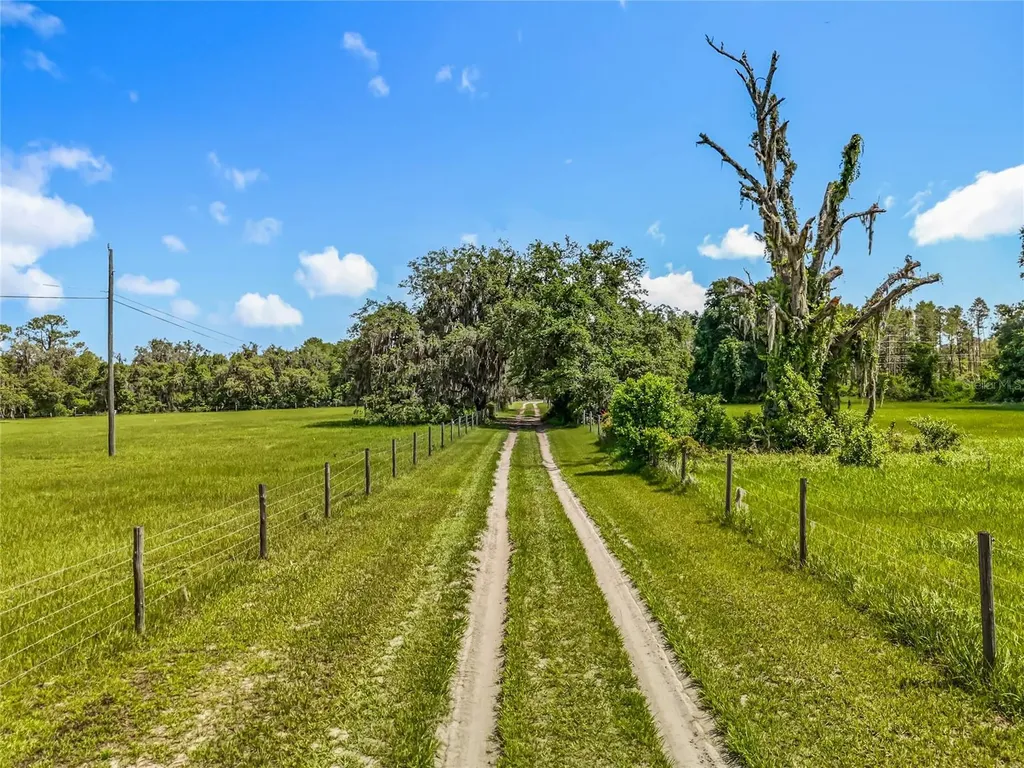 41204 Emeralda Island Road Leesburg FL 34788