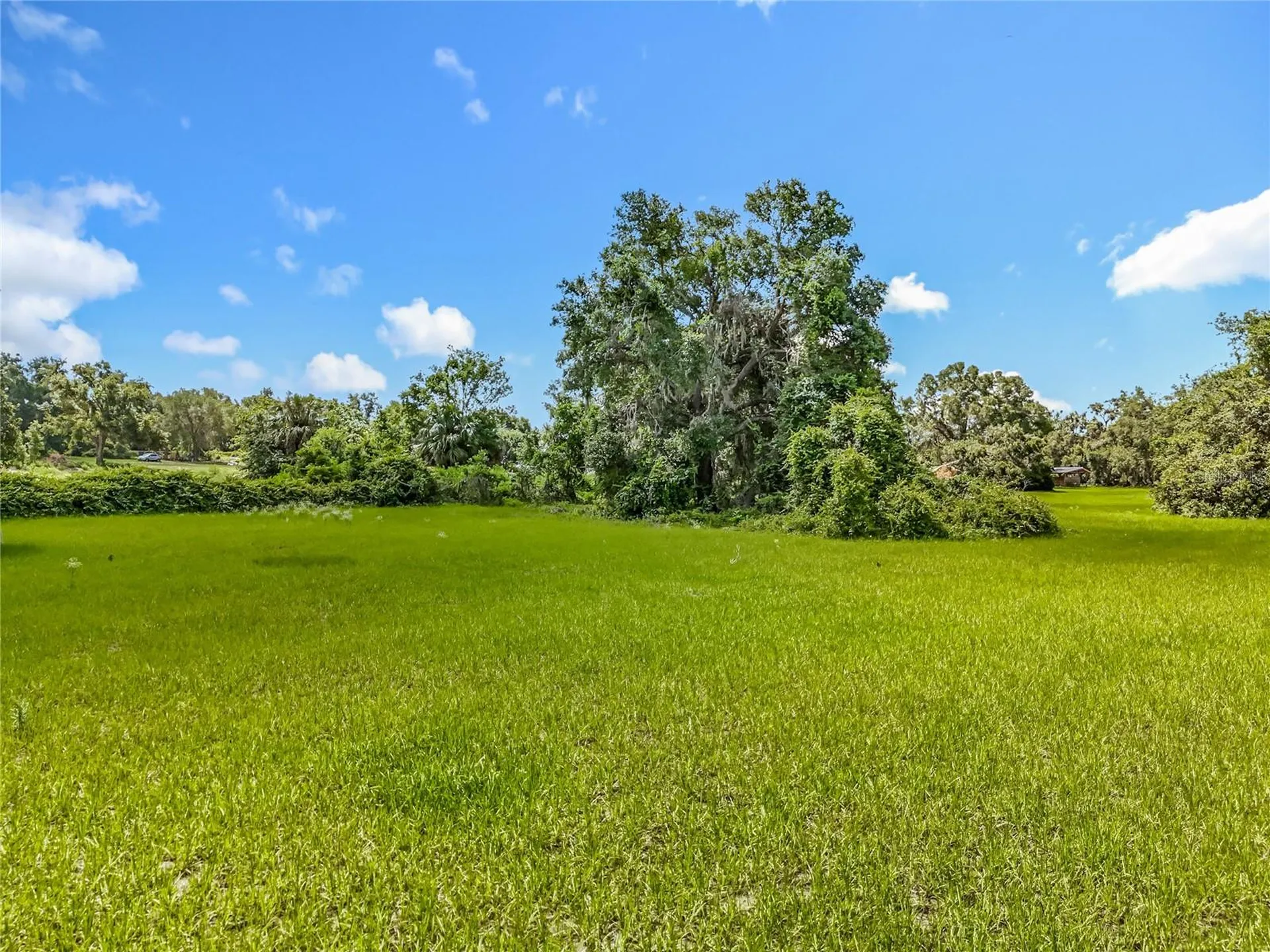 41204 Emeralda Island Road Leesburg FL 34788