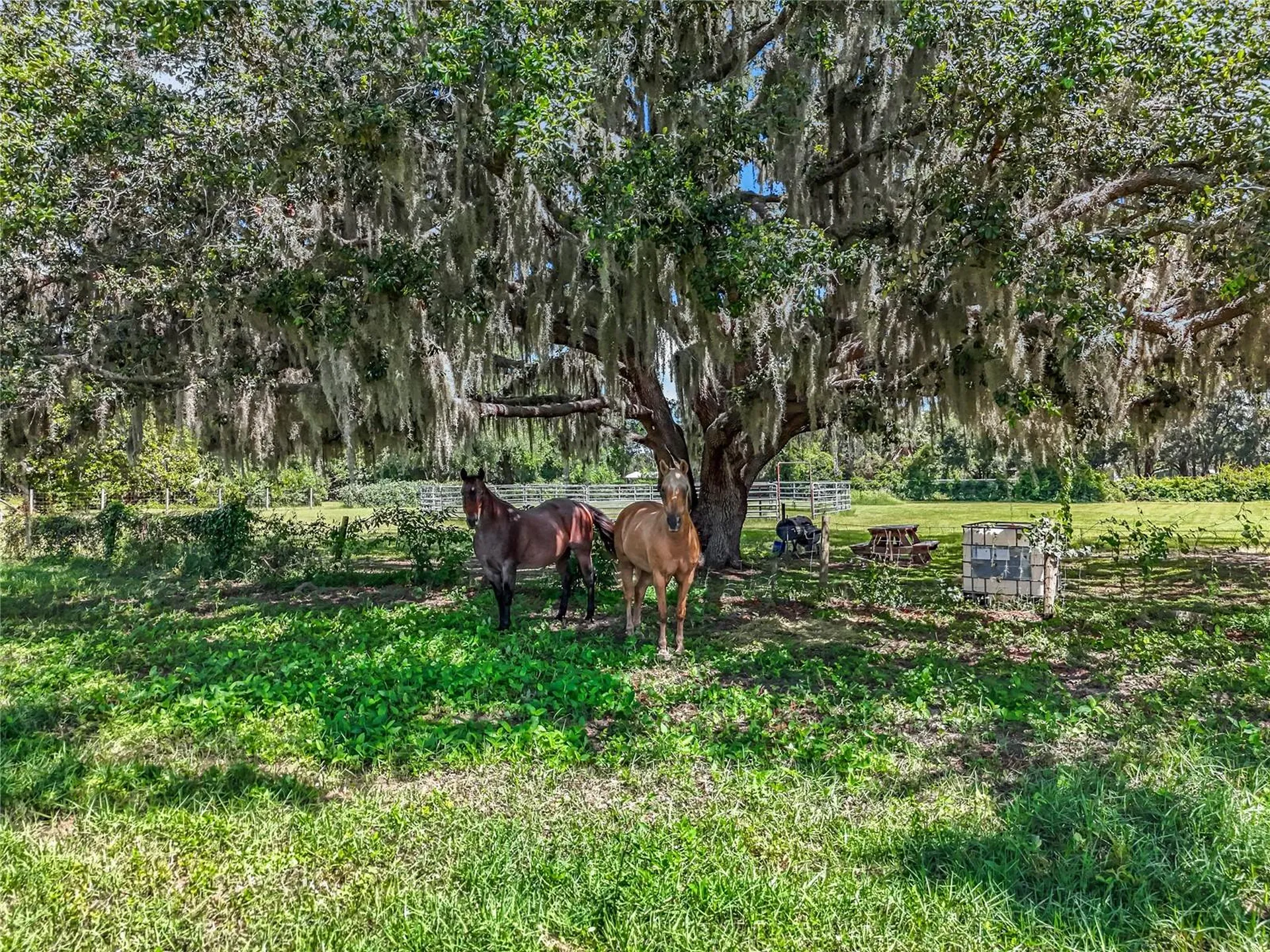 41204 Emeralda Island Road Leesburg FL 34788