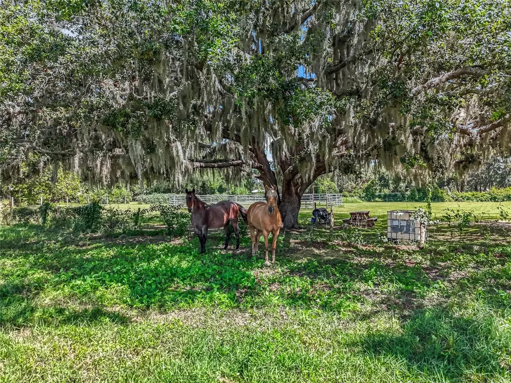 41204 Emeralda Island Road Leesburg FL 34788