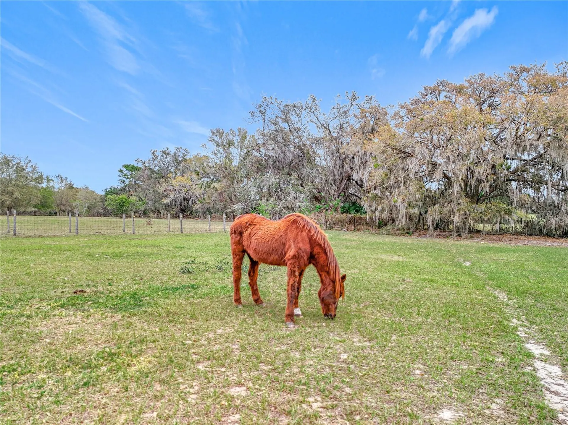 41204 Emeralda Island Road Leesburg FL 34788