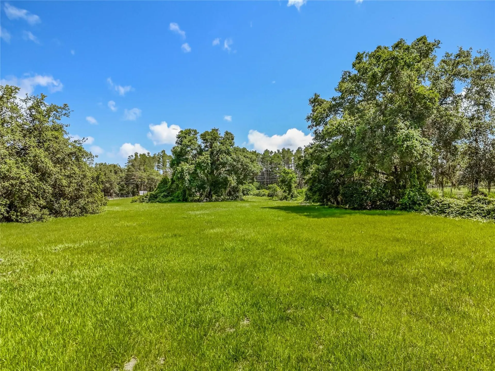 41204 Emeralda Island Road Leesburg FL 34788