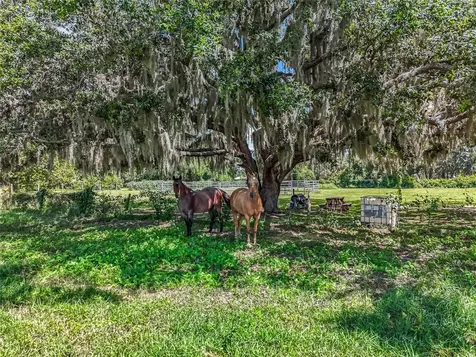 41204 Emeralda Island Road Leesburg FL 34788