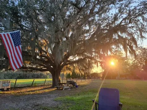 41204 Emeralda Island Road Leesburg FL 34788