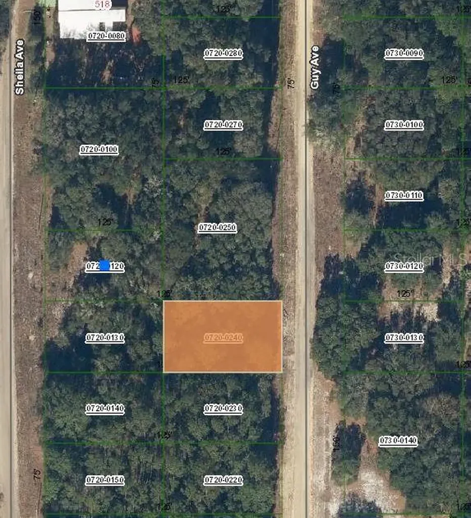 Guy Avenue Interlachen FL 32148